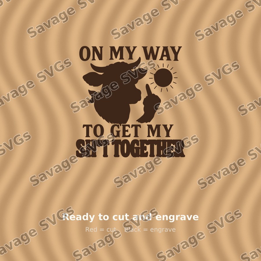 On My Way To Get My Sh*t Together