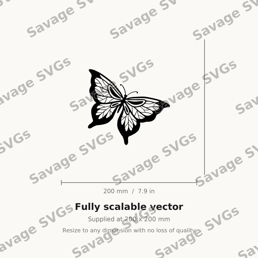 Ornate Butterfly