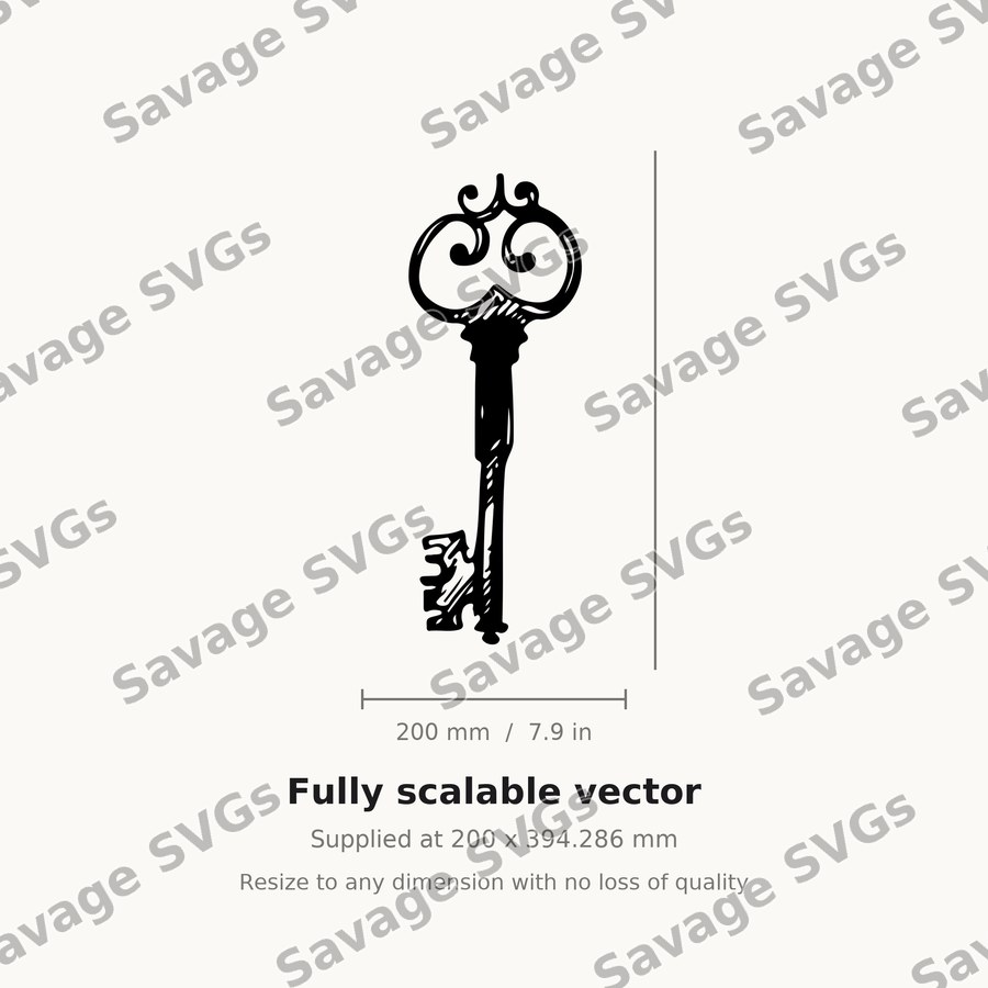 Ornate Vintage Skeleton Key