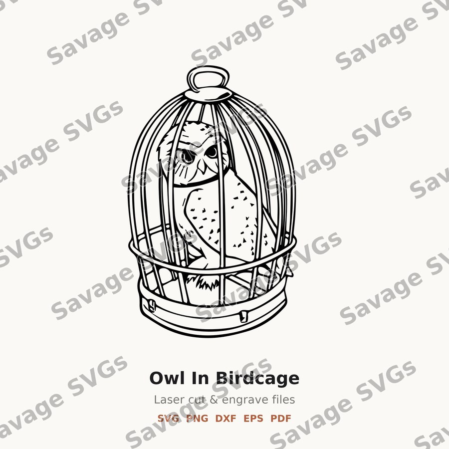 Owl In Birdcage