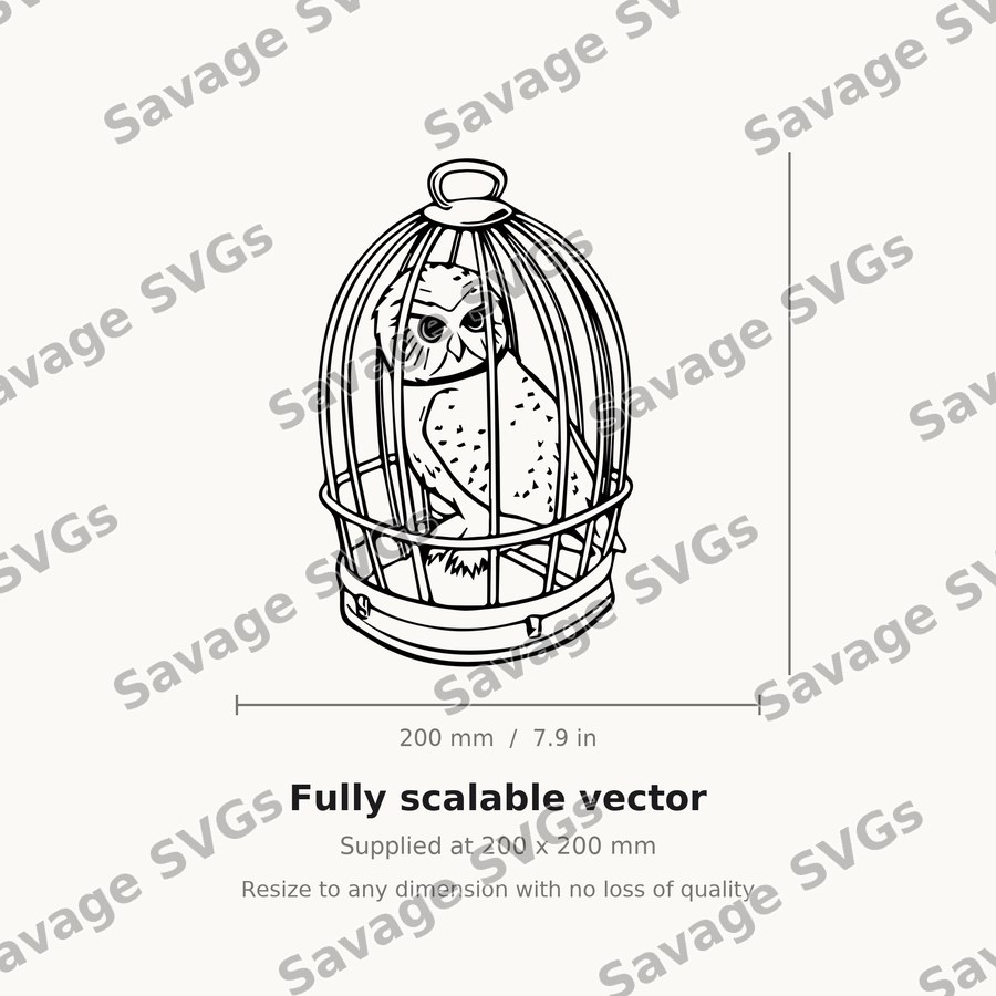 Owl In Birdcage