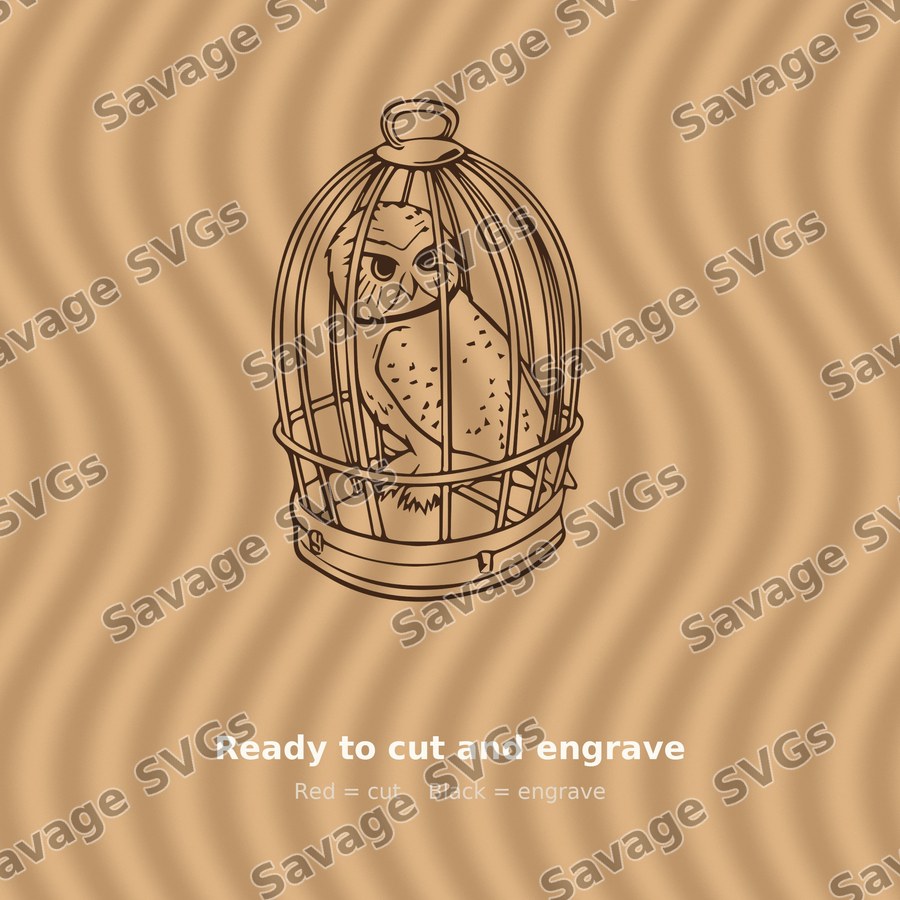 Owl In Birdcage