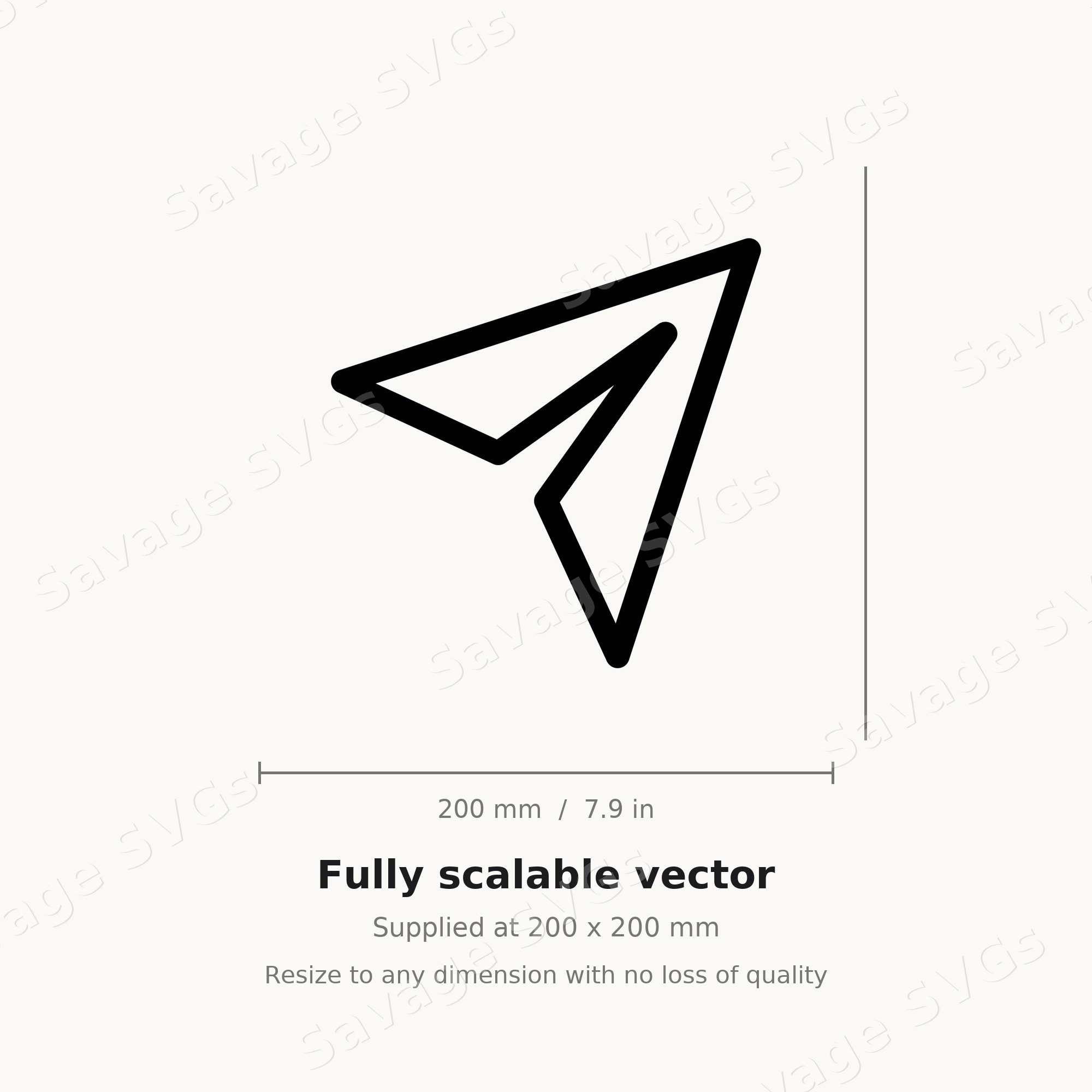 Paper Airplane