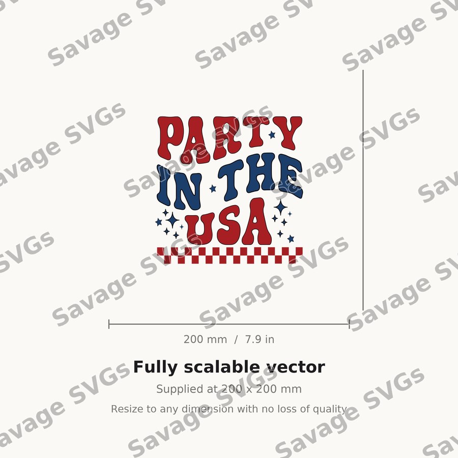 Party In The USA