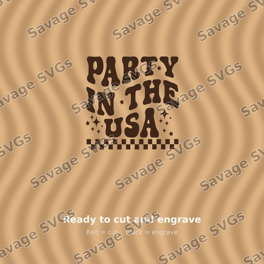 Party In The USA