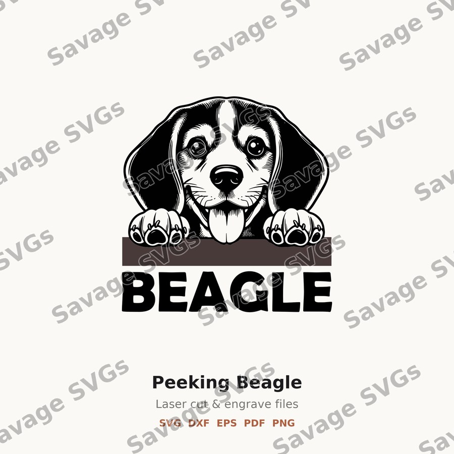 Peeking Beagle