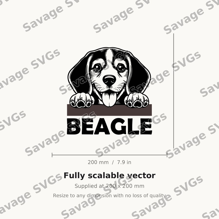 Peeking Beagle