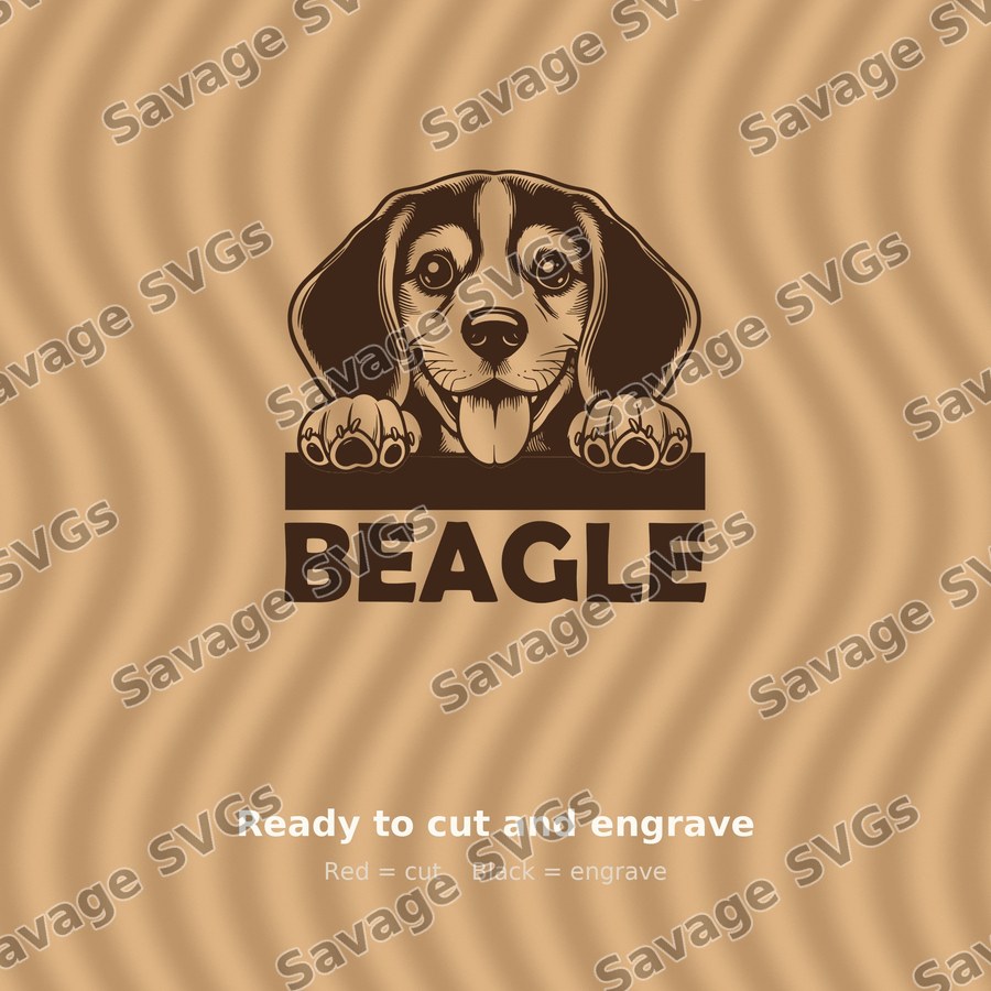 Peeking Beagle