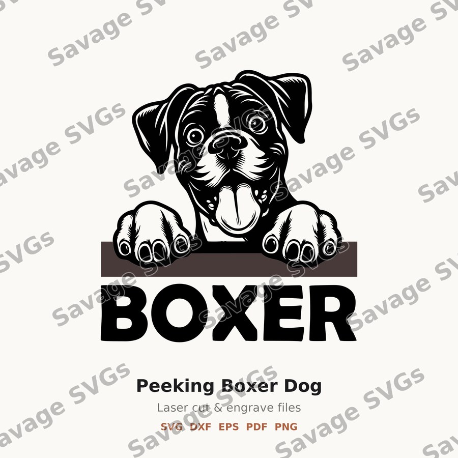 Peeking Boxer Dog