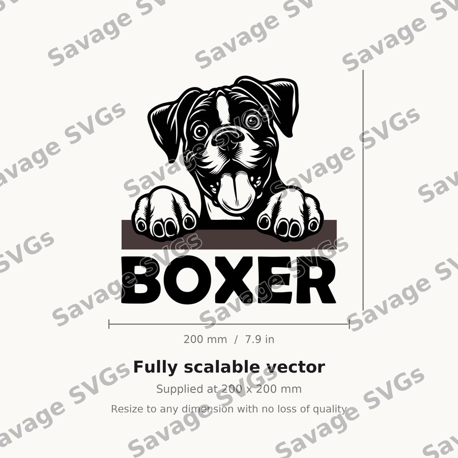 Peeking Boxer Dog