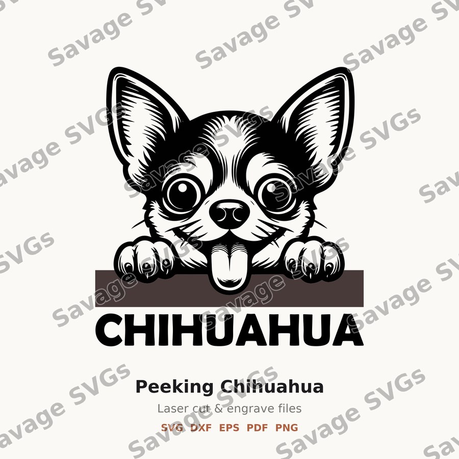 Peeking Chihuahua