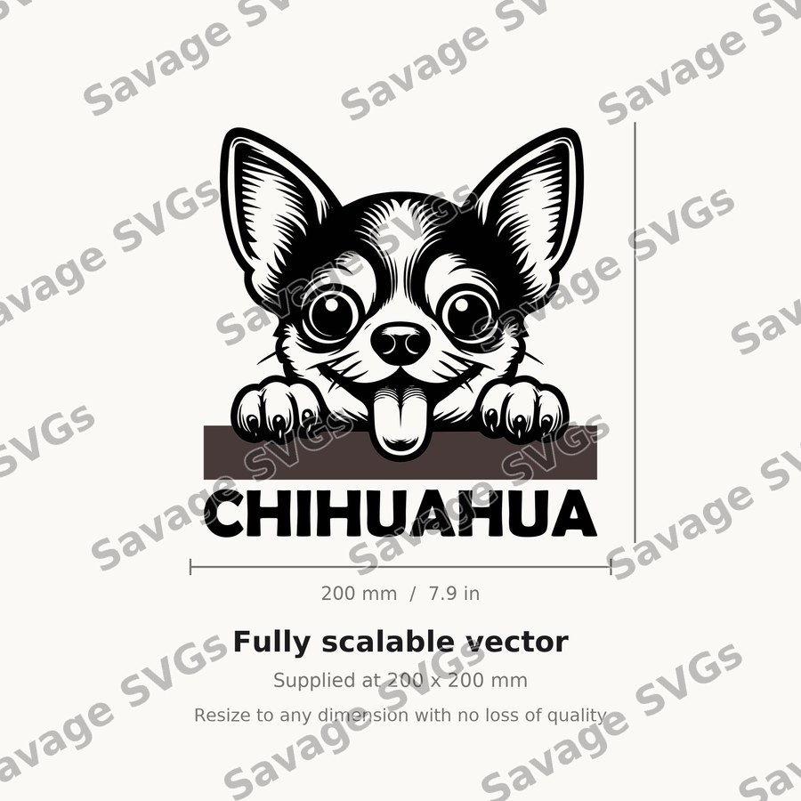 Peeking Chihuahua