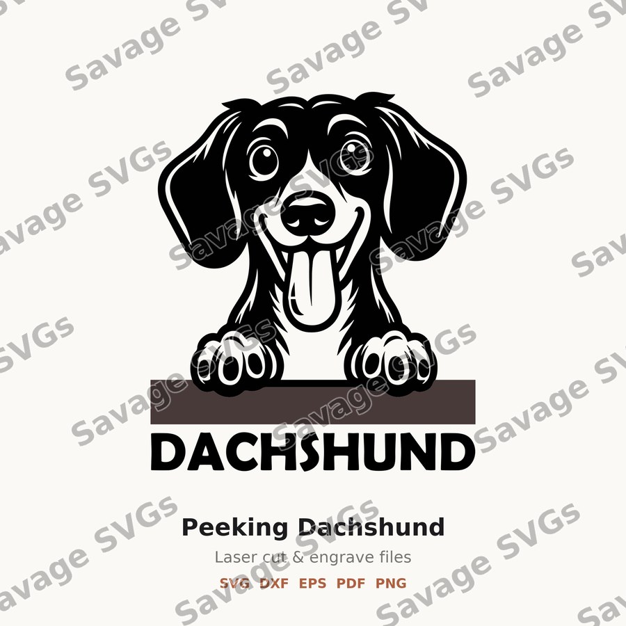 Peeking Dachshund