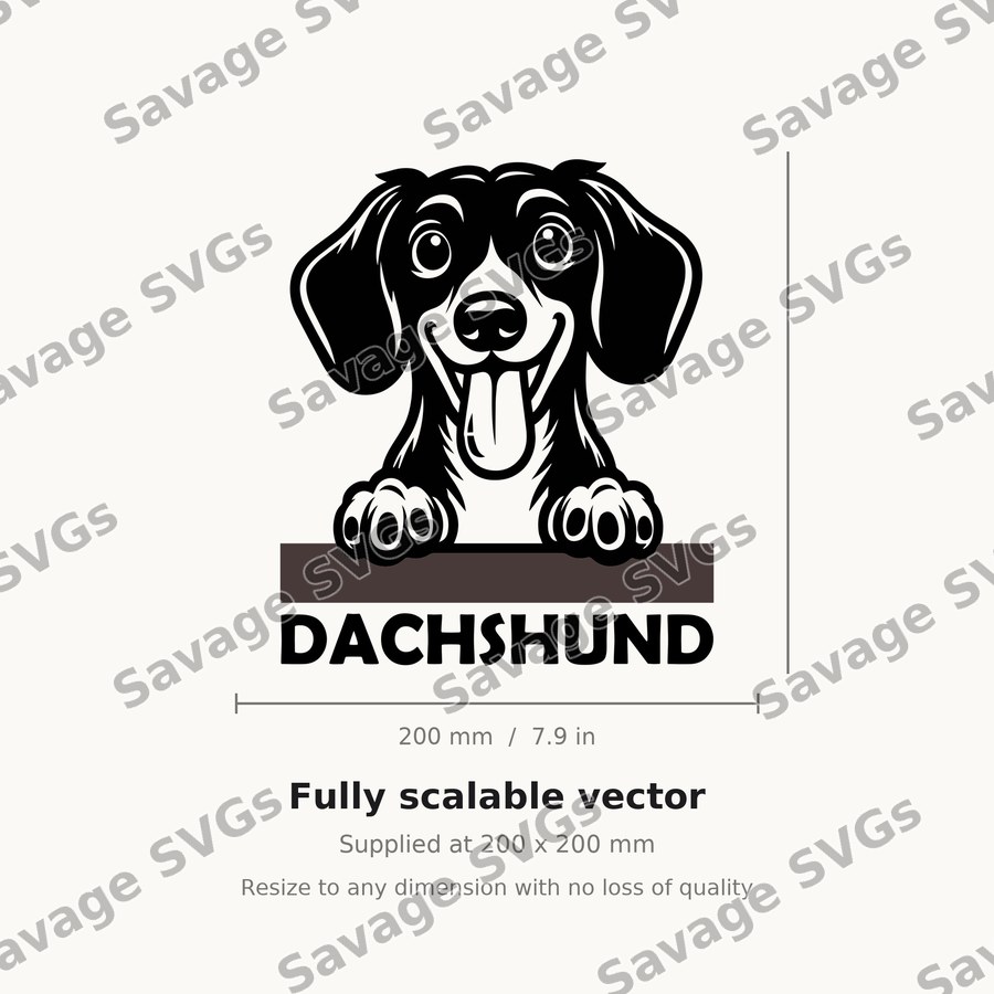 Peeking Dachshund