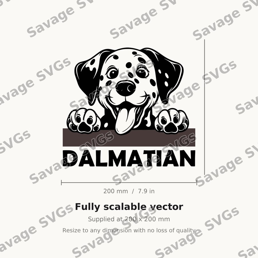 Peeking Dalmatian Puppy