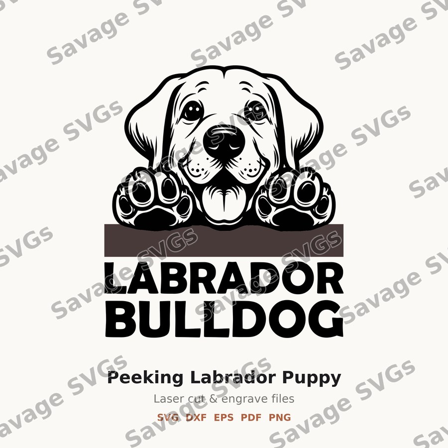 Peeking Labrador Puppy