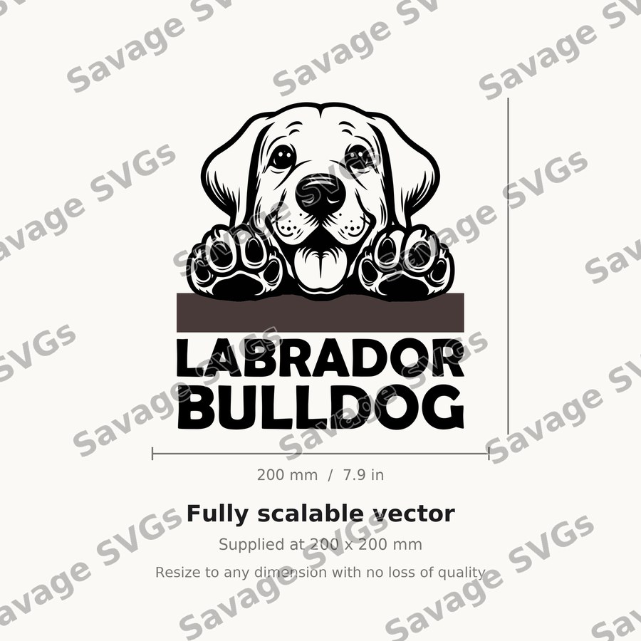 Peeking Labrador Puppy