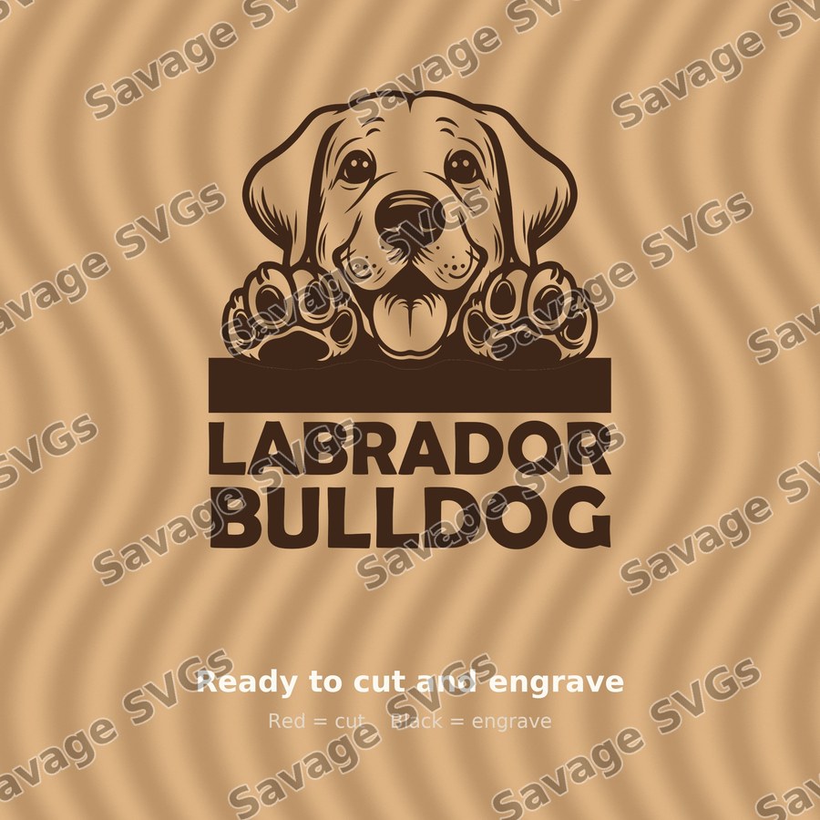 Peeking Labrador Puppy