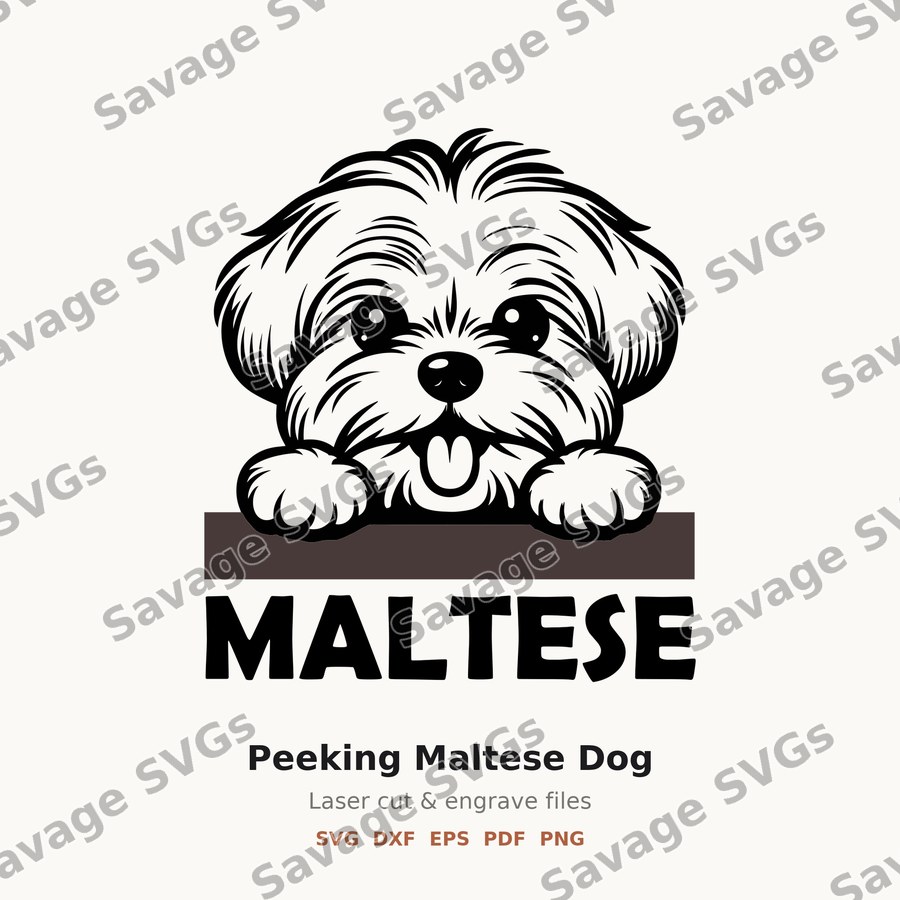 Peeking Maltese Dog