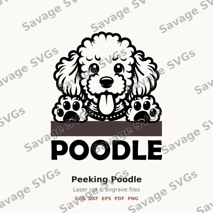 Peeking Poodle