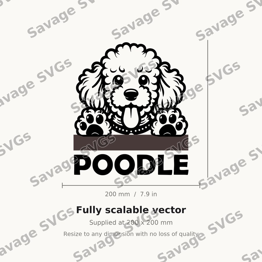 Peeking Poodle