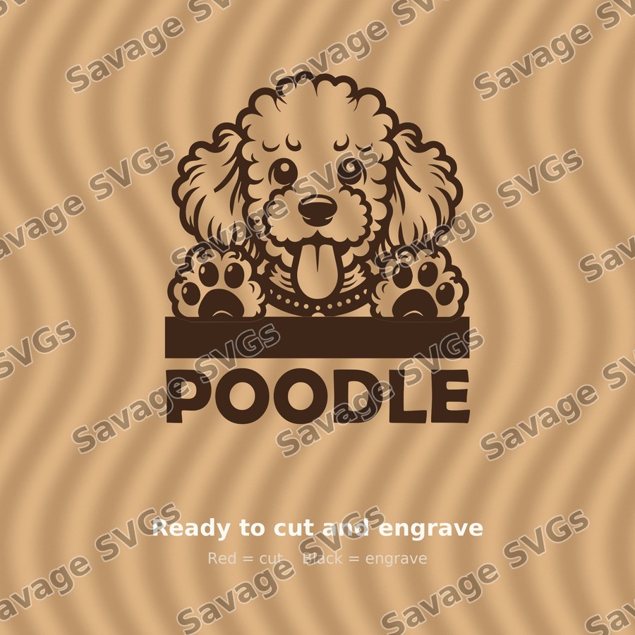 Peeking Poodle