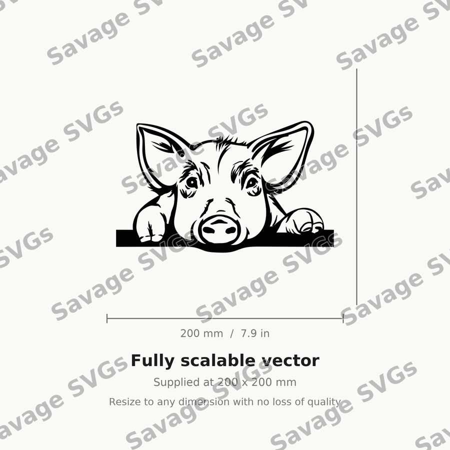 Piggy 01