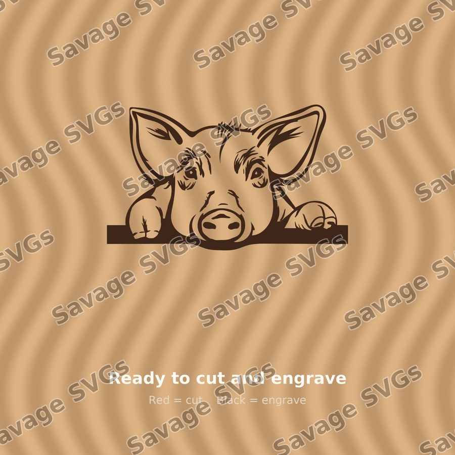 Piggy 01