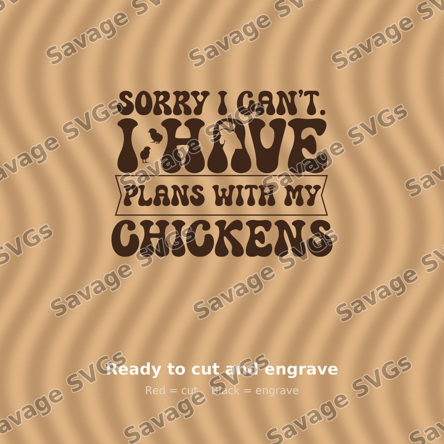 Plans With My Chickens
