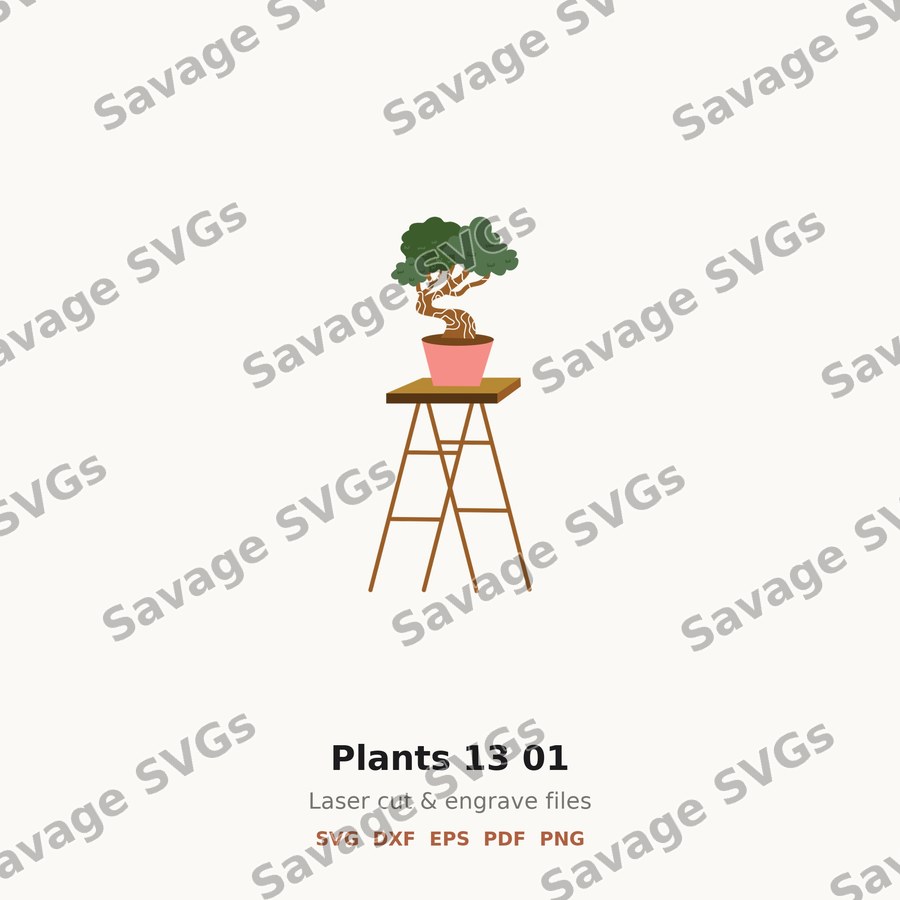 Plants 13 01