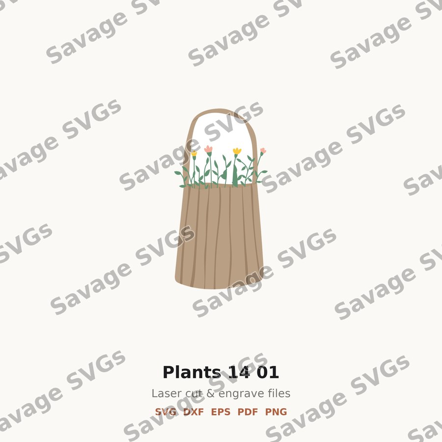 Plants 14 01