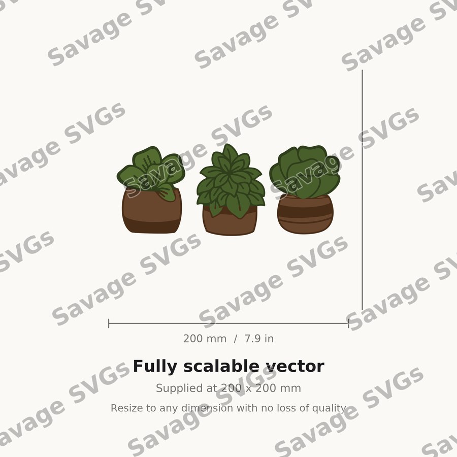 Plants 2 01