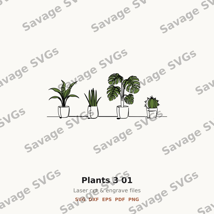 Plants 3 01