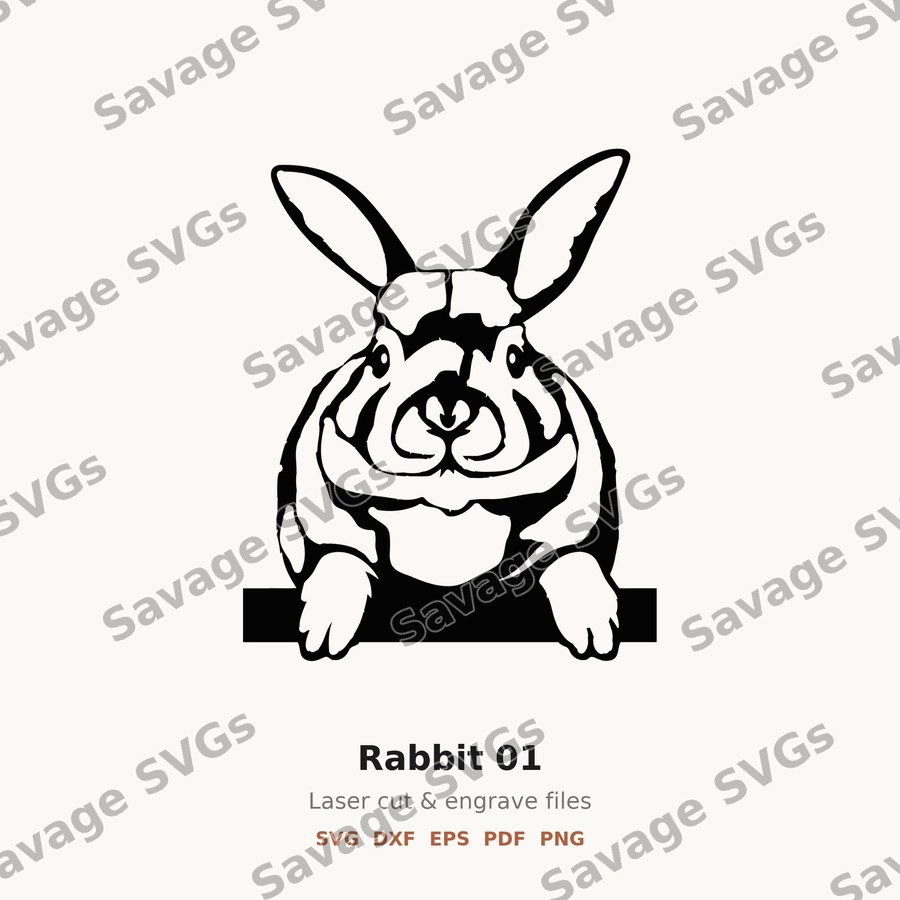 Rabbit 01