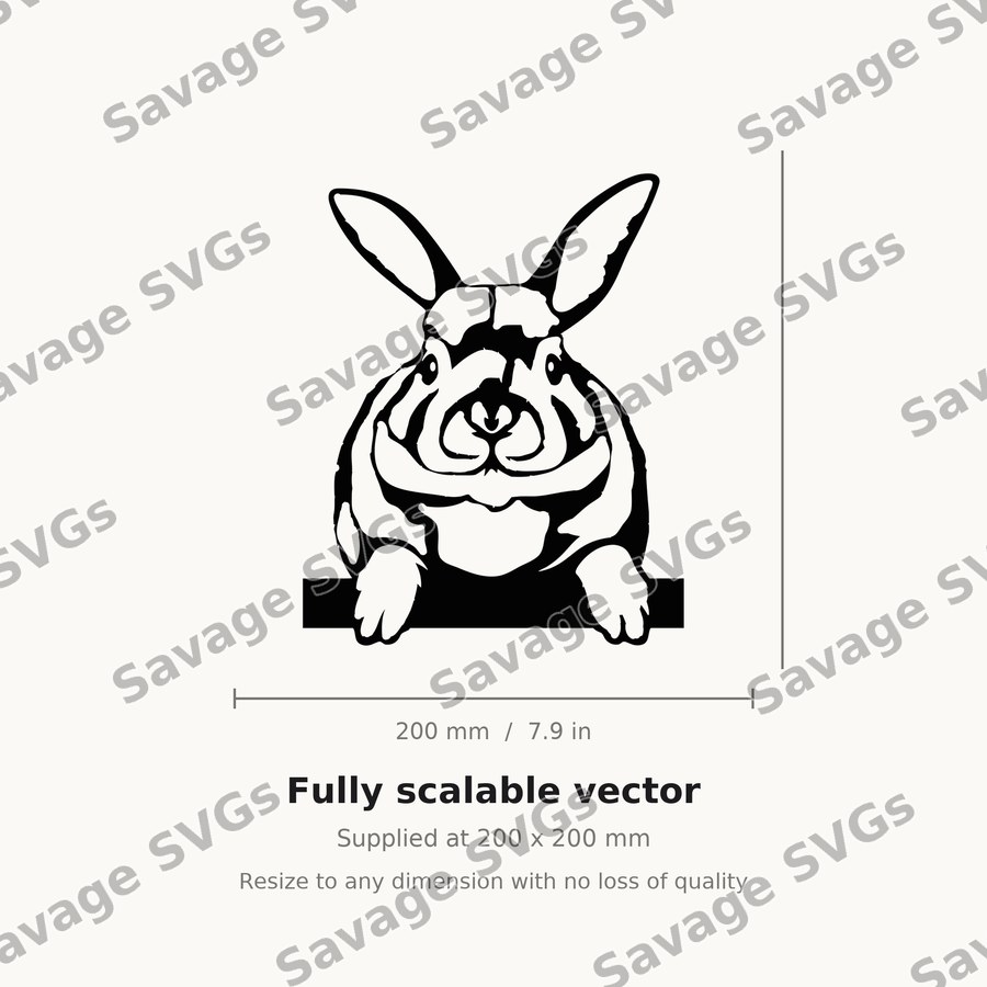 Rabbit 01