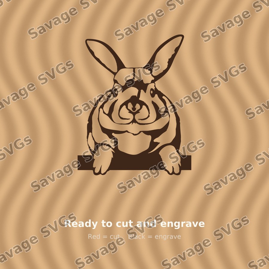 Rabbit 01