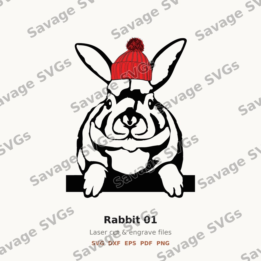 Rabbit 01