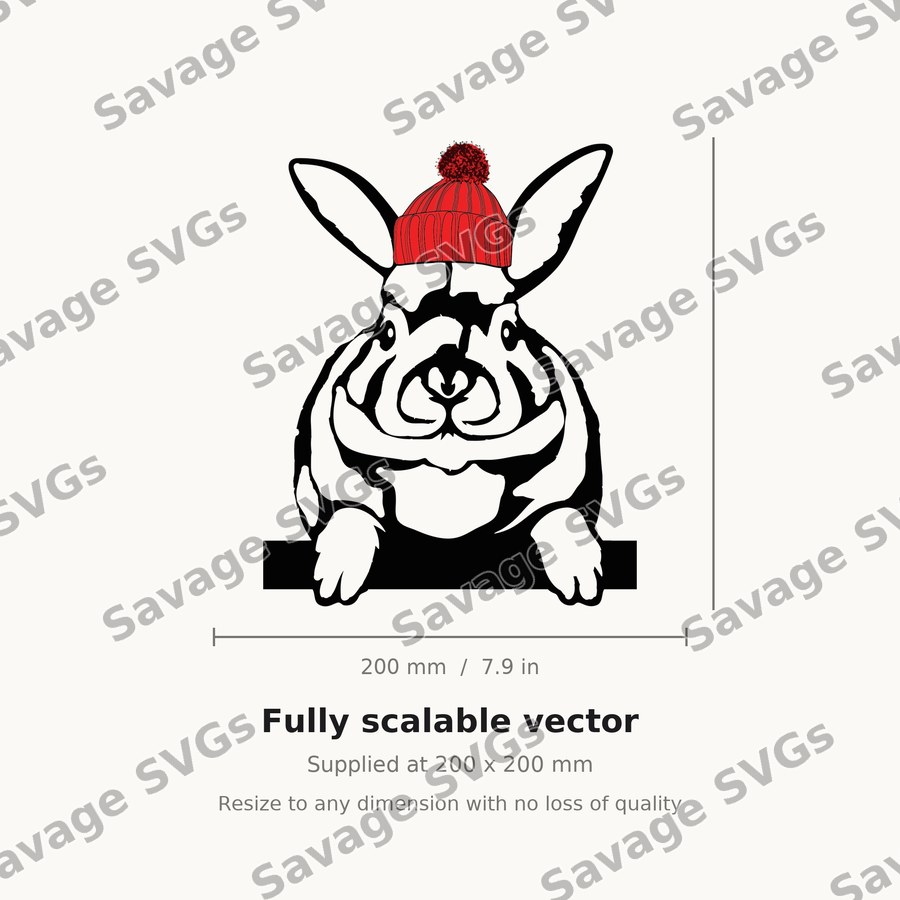 Rabbit 01