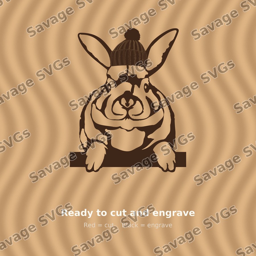 Rabbit 01