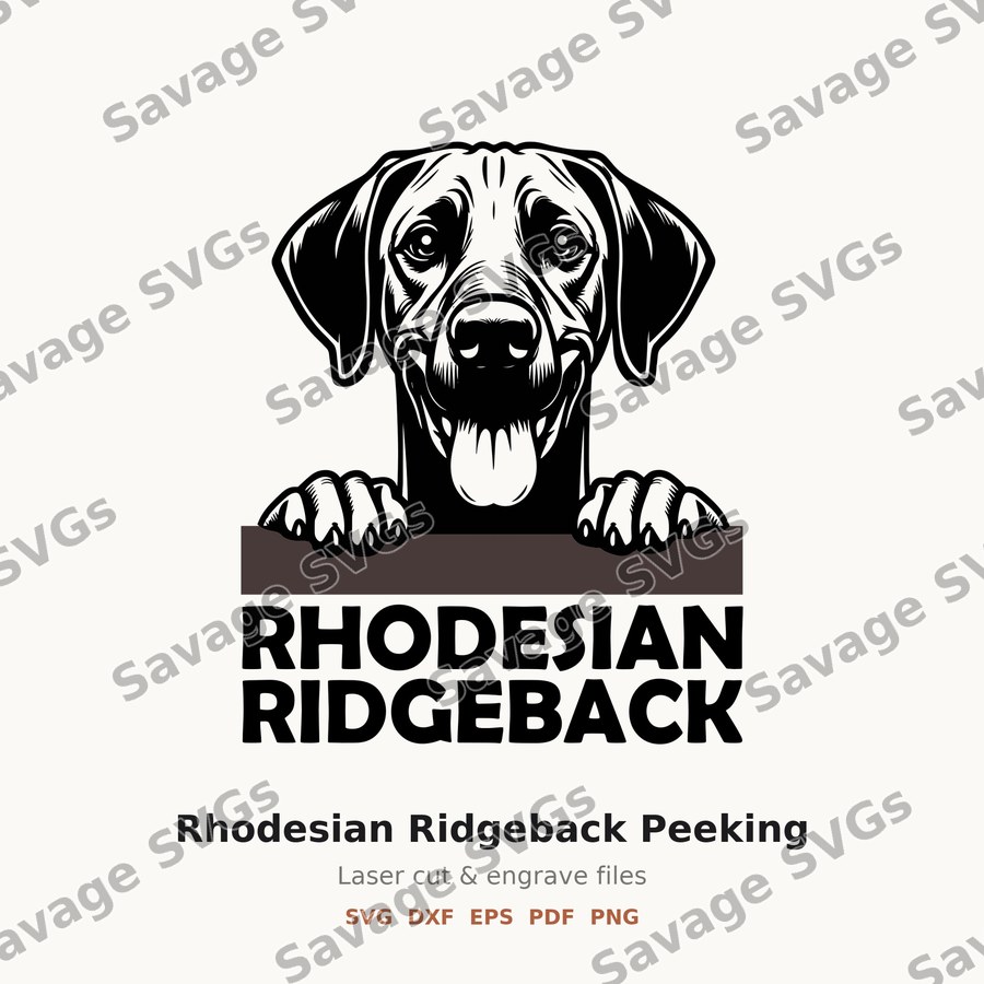 Rhodesian Ridgeback Peeking