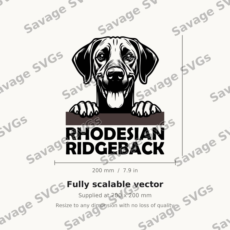 Rhodesian Ridgeback Peeking