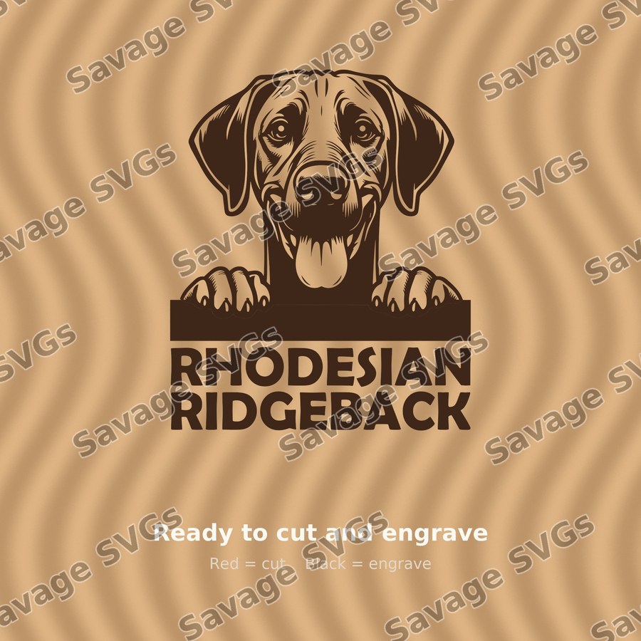 Rhodesian Ridgeback Peeking