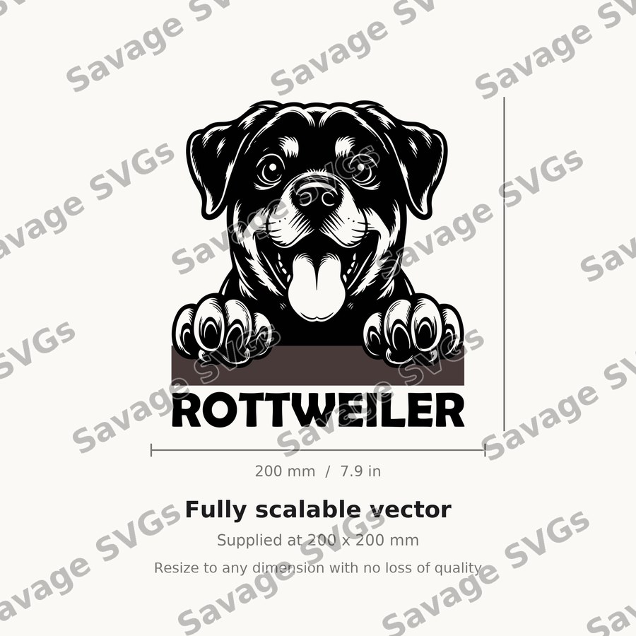 Rottweiler Peeking Dog