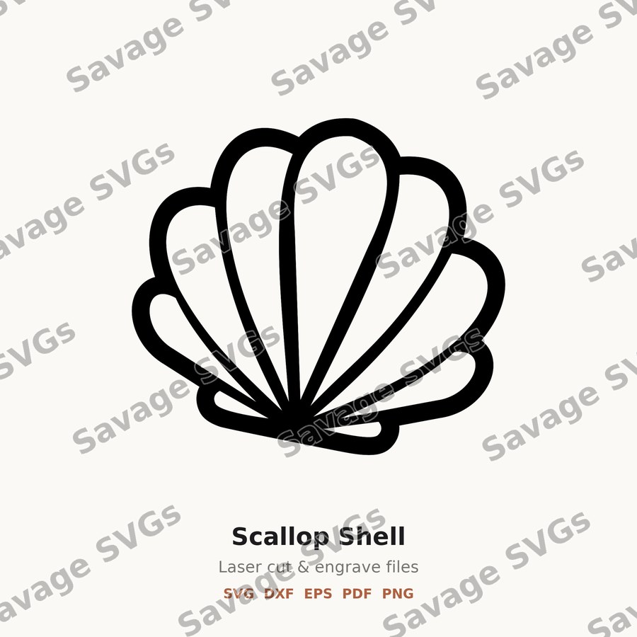 Scallop Shell