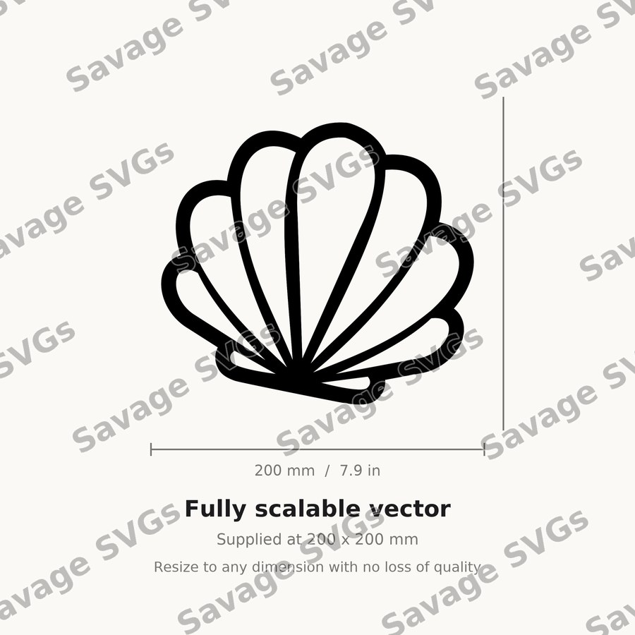 Scallop Shell