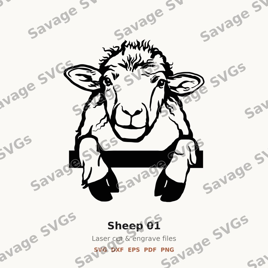 Sheep 01