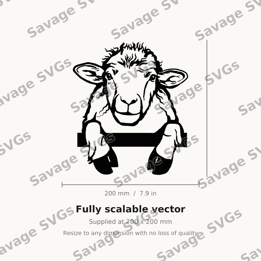 Sheep 01