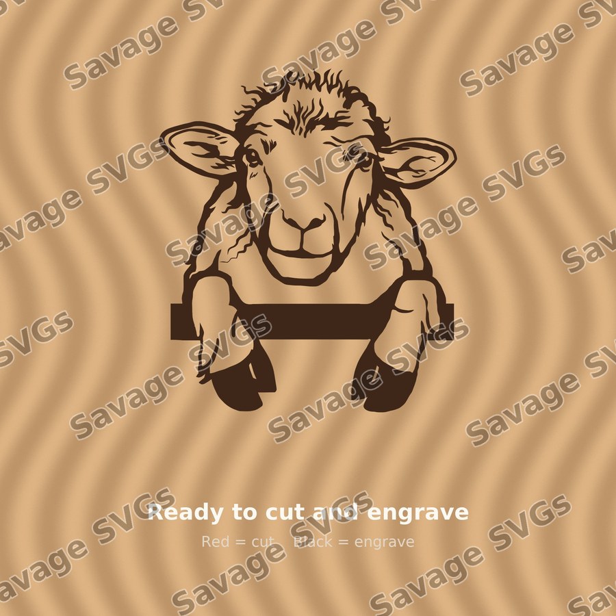 Sheep 01