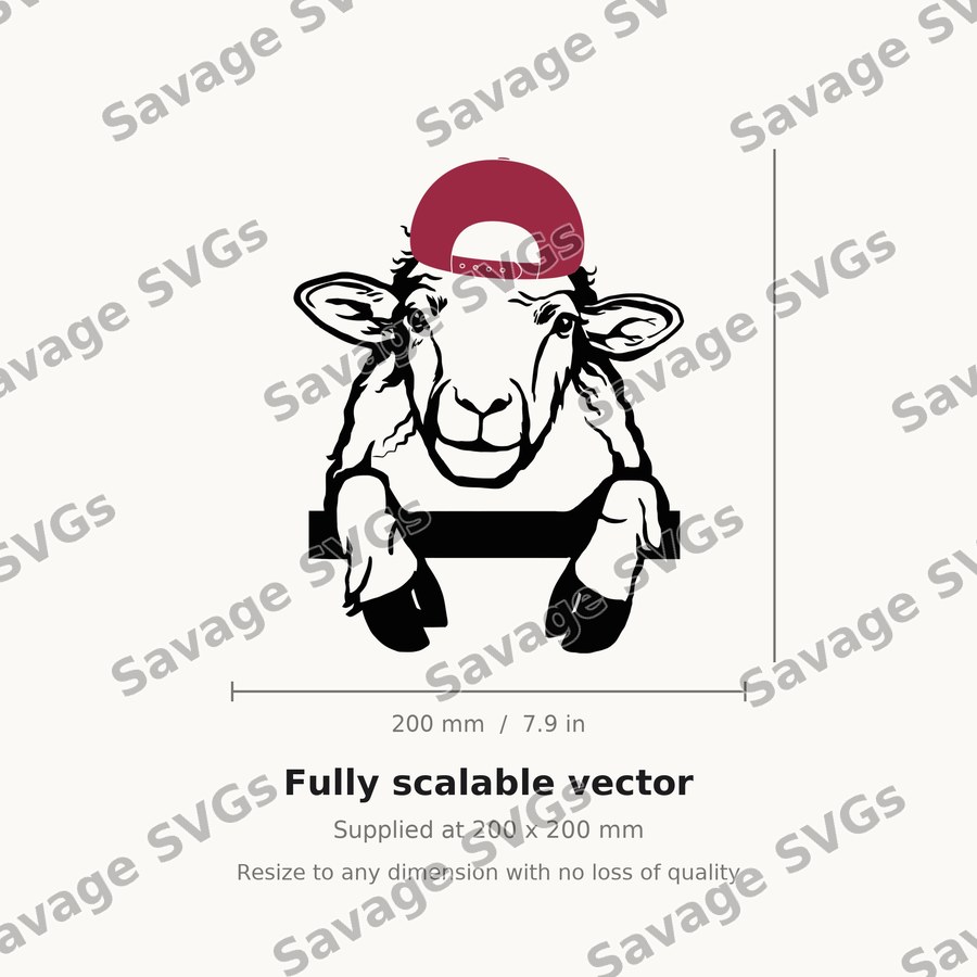 Sheep 01