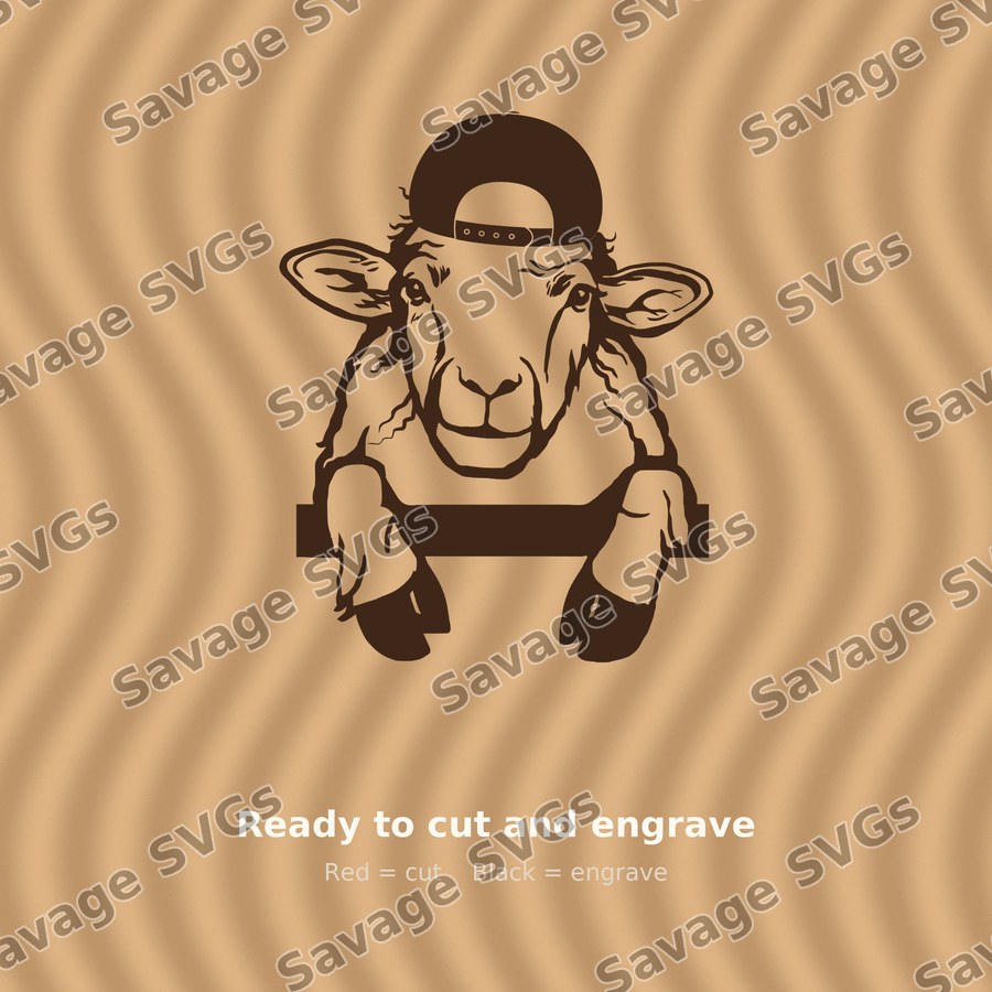 Sheep 01